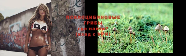синтетический гашиш Белокуриха