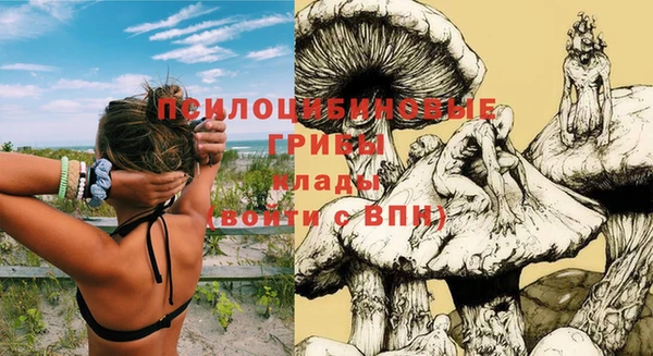 синтетический гашиш Белокуриха