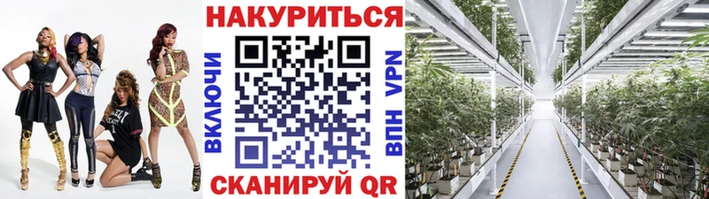 Канабис OG Kush  Буинск 